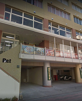 沖縄ペットワールド専門学校