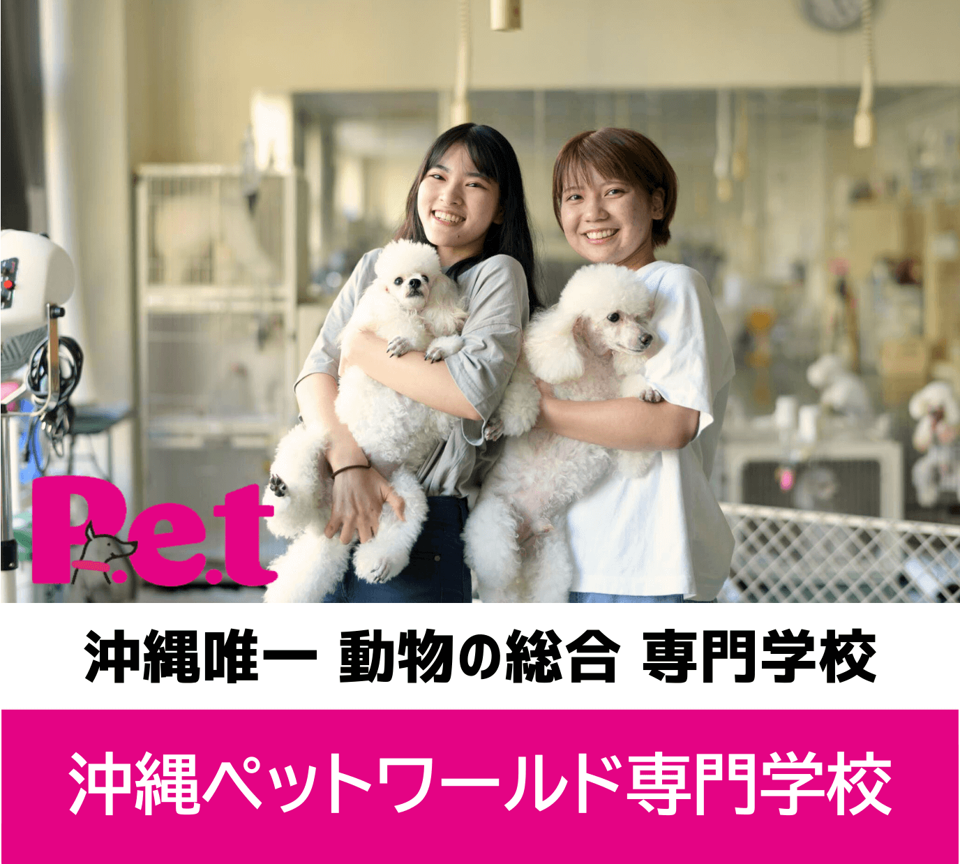 沖縄ペットワールド専門学校